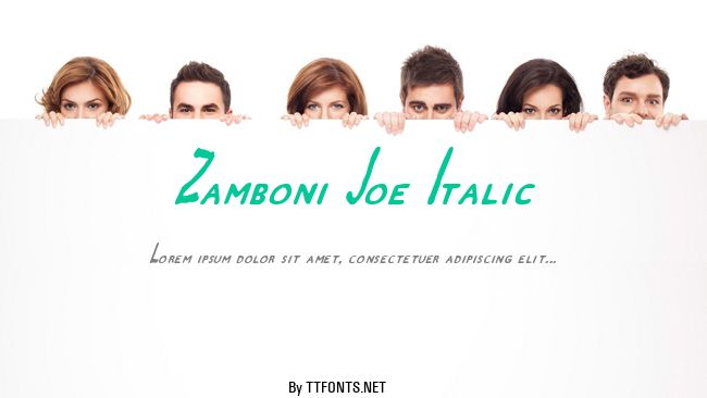Zamboni Joe Italic example